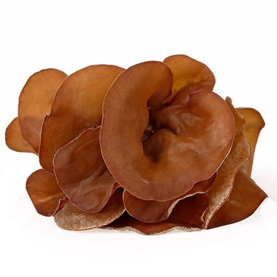 Fresh Jew's Ears (Hu Noo) Mushroom, 100g.