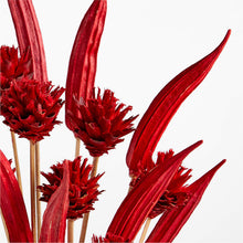 Load image into Gallery viewer, Dried Red Okra Flower